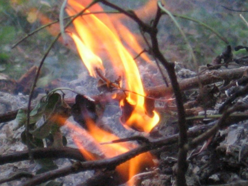 "Brat nasz ogień" #natura