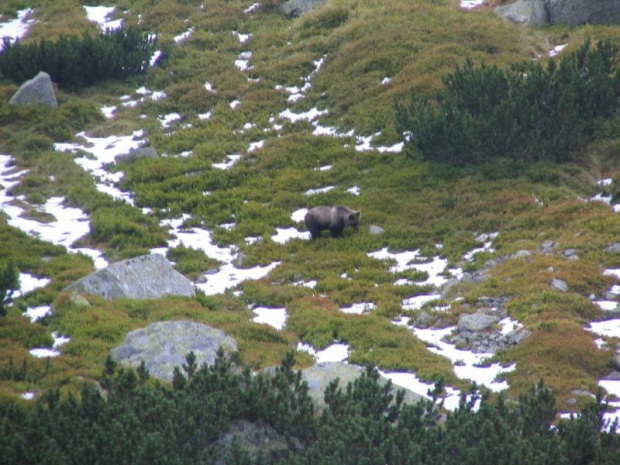 tatry-lato2007