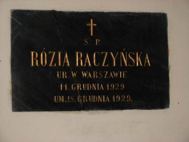 21-23.09.2007 - Pałac w Rogalinie