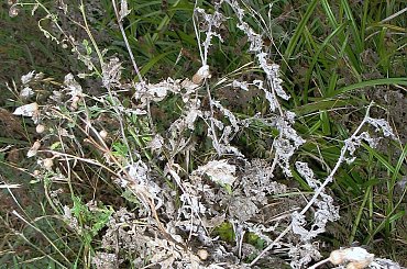 Jesień, przyroda, Koluszki, Lisowice, zbiornik #Jesień #przyroda #Koluszki #Lisowice #zbiornik