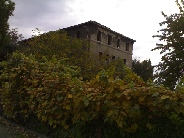 Grey House 1