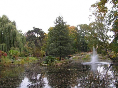 Wrocławski ogród botaniczny